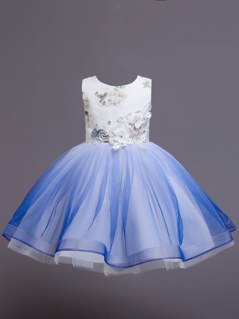 Piger Prinsesse Kjole Ærmeløse Blomster Broderi Mesh Tutu Performance Bryllup Til Aften Fødselsdagsfest Børnetøj