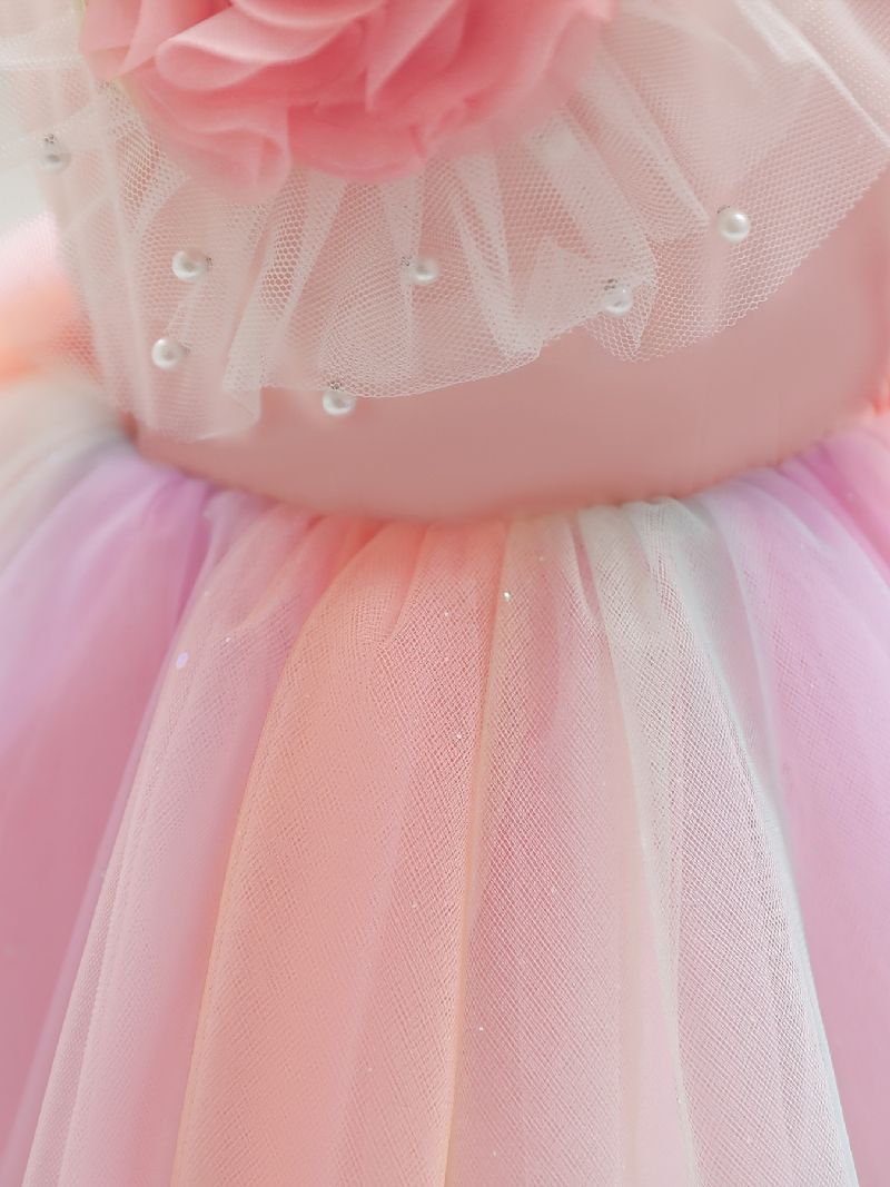 Piger Rainbow Mesh Kjole Kortærmet Flueærmet Tutu Prinsesse Børnetøj