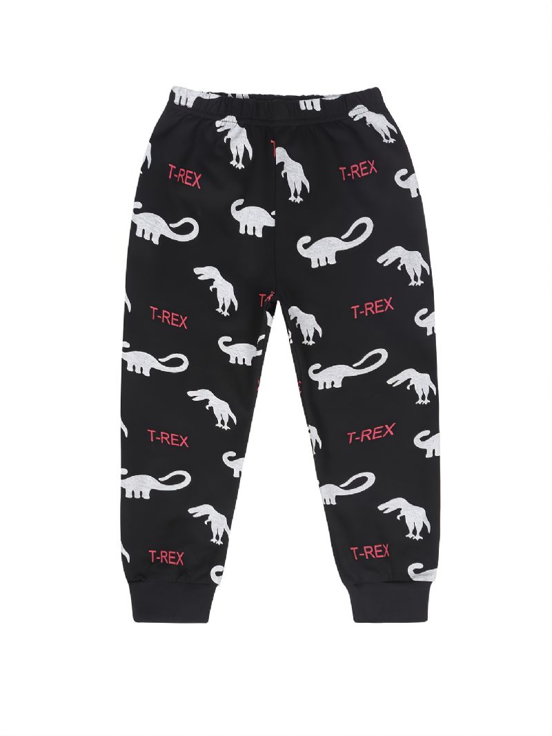 2 Stk Børn Drenge Pyjamas Tegneserie Dinosaur Print Rund Hals Langærmet Top & Bukser Sæt