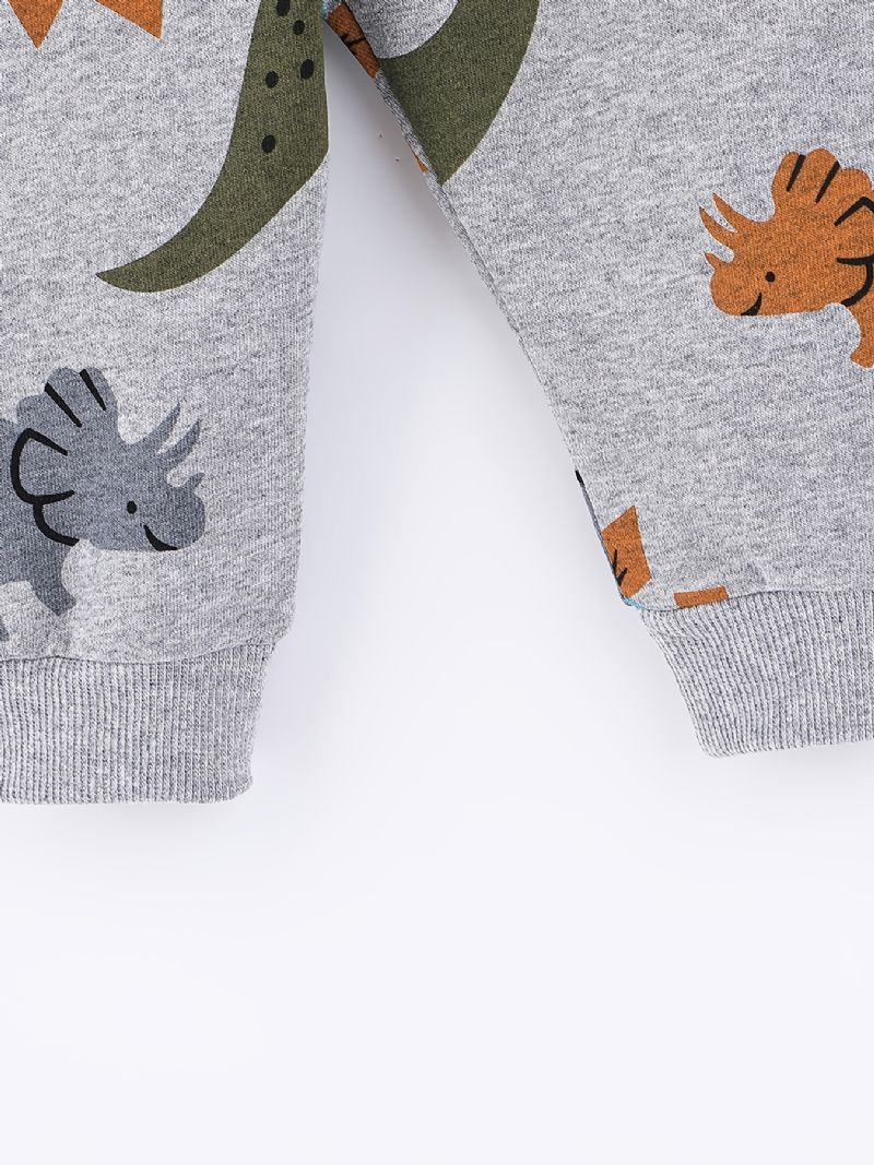 2 Stk Drenge Sød Dinosaur Tegneserie Print Langærmet Hættetrøje Sweatshirt Top Elastiske Taljebukser Sæt Tøj