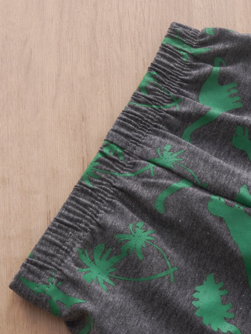 2 Stk Drengetøj Grønt Dinosaur Print Langærmet Casual Sæt