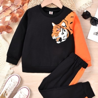 Baby Drenge Pullover Tiger Print Rundhals Langærmet Sweatshirt & Color Block Bukser Sæt Børnetøj