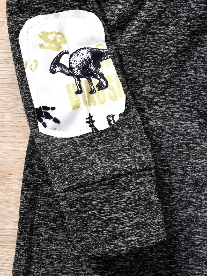 Baby-drenge Tegneserie-dinosaur-printede Bukser Og Hættetrøjesæt Med Solid Patch