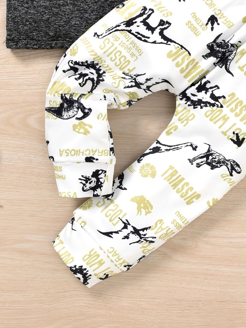 Baby-drenge Tegneserie-dinosaur-printede Bukser Og Hættetrøjesæt Med Solid Patch