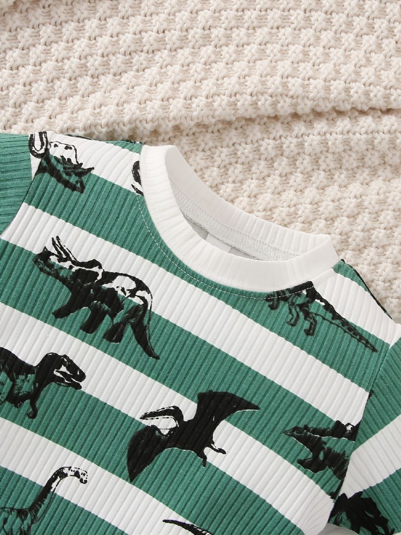 Tegnefilm Dyre Designs Børne Pullover Sweatshirt & Matchende Joggerbukser Sæt Med Dinosaur Print Til Efterår Vinter Ny