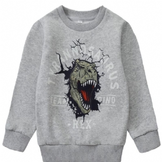 Børn Drenge Pullover Sweatshirt Med Dinosaur Mønster Børnetøj