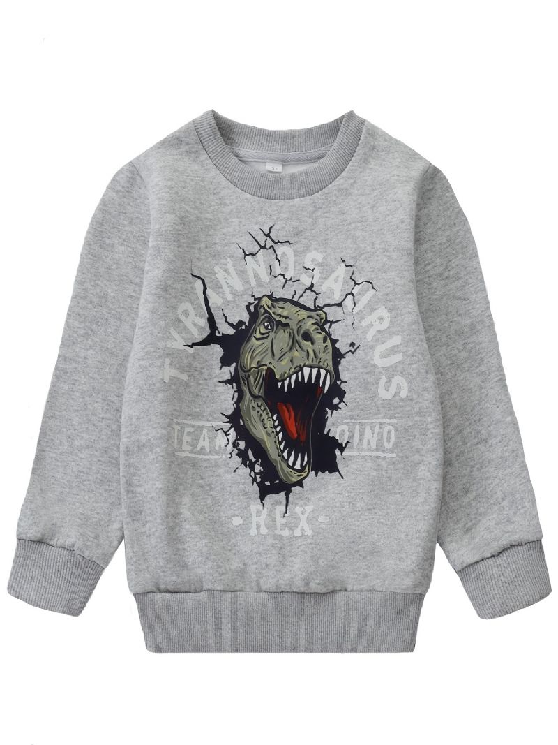 Børn Drenge Pullover Sweatshirt Med Dinosaur Mønster Børnetøj