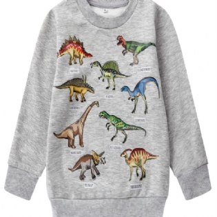 Drenge Dinosaur Print Langærmet Rundhals Sweatshirt