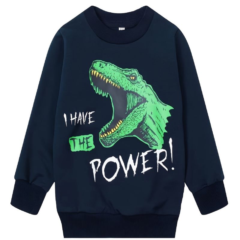 Drenge I Have The Power Dinosaur Rundhalset Langærmet Sweatshirt